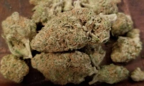 鲨鱼咬麻（Shark Bite）