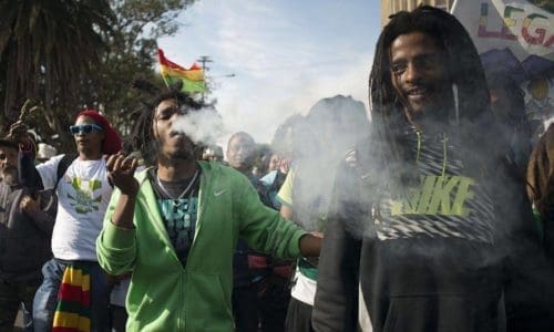 哪个国家拥有世界上最好的大麻？