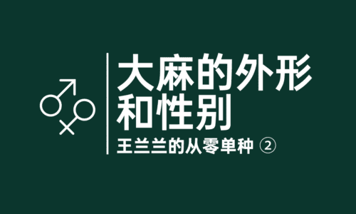 2 - 大麻的外形和性别