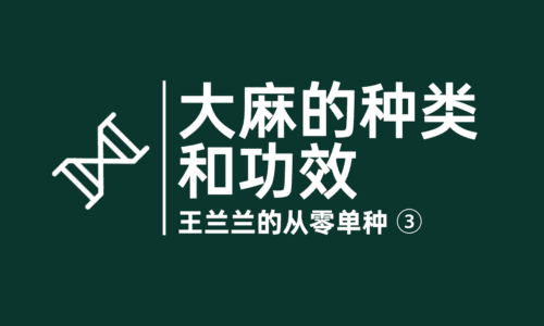 3 - 大麻的种类和功效