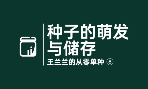 8 - 萌发和储存大麻种子