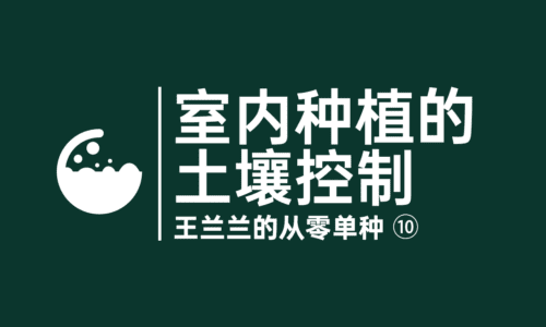 10 - 室内种植大麻的土壤控制