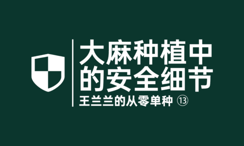 65 - 大麻种植中的安全细节