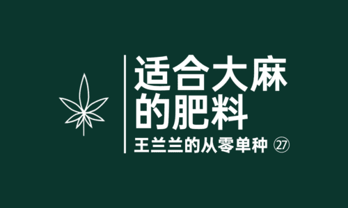 26 - 适合大麻的肥料