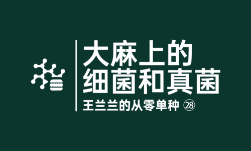 27 - 大麻上的细菌和真菌