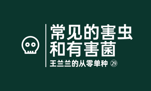 28 - 常见的害虫和有害菌