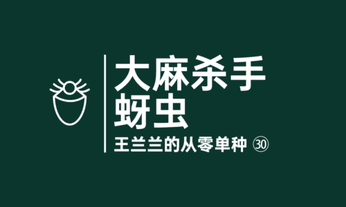 29 - 大麻杀手:蚜虫