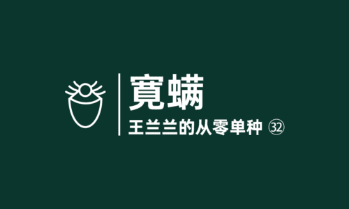 31 - 大麻病虫害:宽螨
