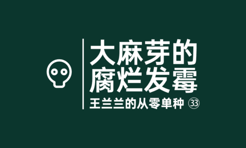 32 - 大麻芽的腐烂发霉