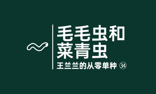 33 - 大麻病虫害:毛毛虫和菜青虫