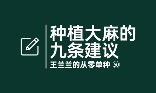 49 - 当我刚开始种大麻的时候，最希望别人告诉我的9件事情