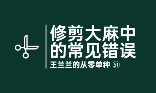 50 - 修剪大麻中的常见错误