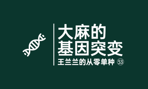 52 - 大麻的基因突变