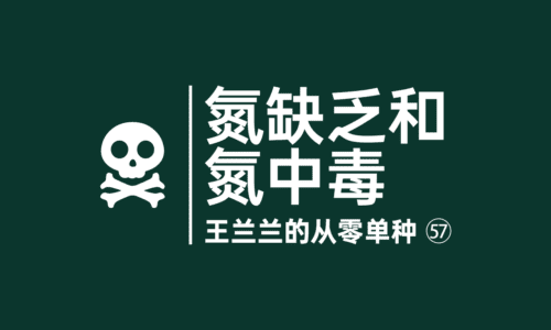 56 - 氮肥(N)缺乏和氮中毒