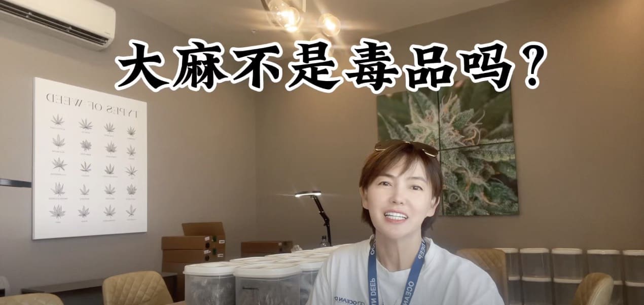 第二期：大麻不是毒品吗？