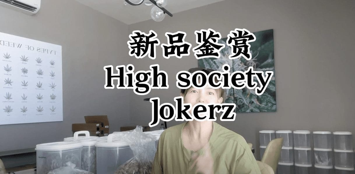 第6期：新品鉴赏High Society和Jokerz