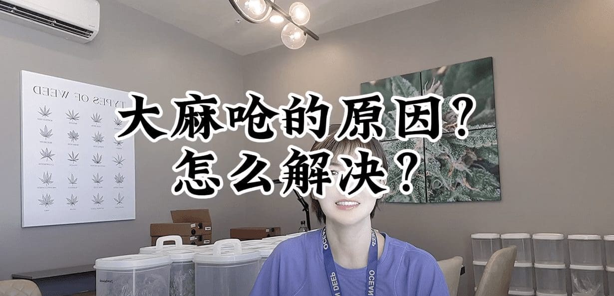 第7期：大麻为什么呛？怎么解决？