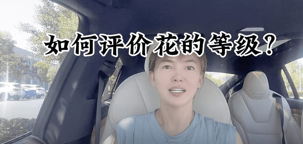 第10期：如何评价花的等级？