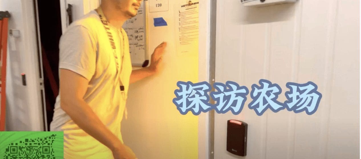 第13期: 探访大麻农场花絮 医学出身对环境非常重视