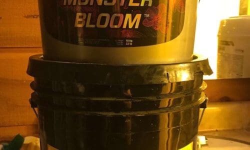 请问何老师：看着挺大，没有重量，晒干缩水很多，是什么问题？