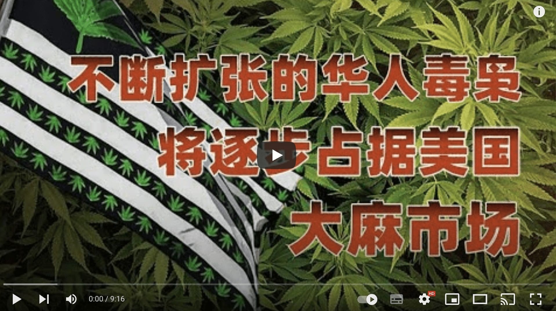 不断扩张的华人毒枭，将逐步占据美国大麻市场