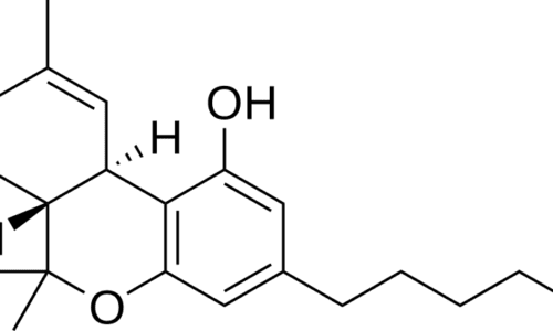 四氢大麻酚（THC）