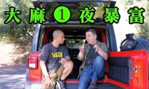 一條大麻屋地址賣給黑幫值2000美元！美國最暴利的行業，你有膽做嗎？┃洛奇訪談錄