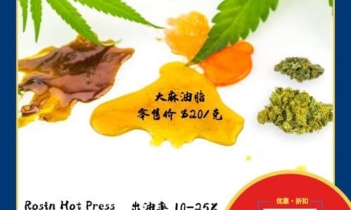 大力丸！市场新宠，大麻油脂！库存垃圾也能变废为宝！