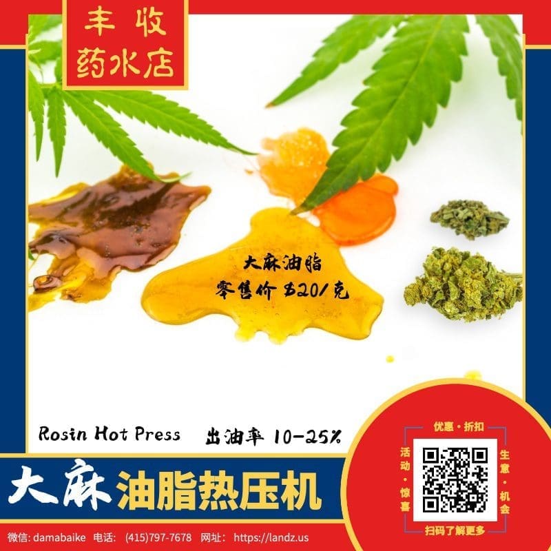 大力丸！市场新宠，大麻油脂！库存垃圾也能变废为宝！