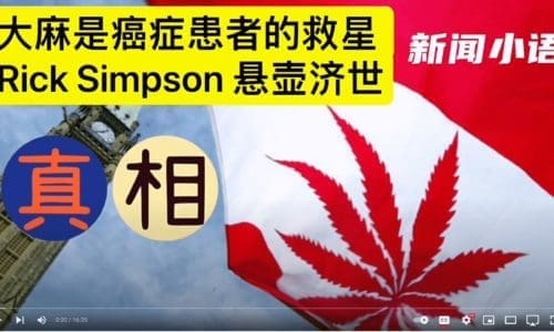 【字幕版】①大麻油一周治愈皮肤癌,几周治愈银屑病。②Rick Simpson治愈5000多名各种癌症、以及糖尿病白血病等患者。③小语听友分享治疗经验。