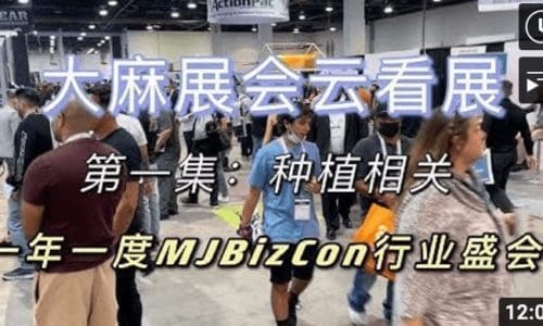 带大家云看展 | 全球最大展会MjBizCon |第一期种植相关产品与设备