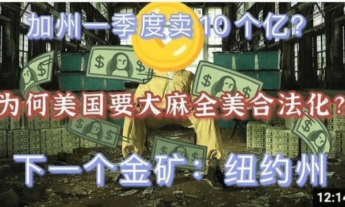 为何美国要推行全美大麻合法化? 加州一个季度卖10亿? 非法种植为何被打击? 纽约娱乐大麻合法化,将是下一个投资机会