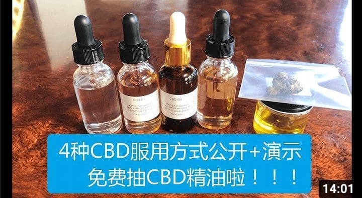 如何正确服用CBD | 免费派发CBD产品啦！！！| 粉丝福利篇