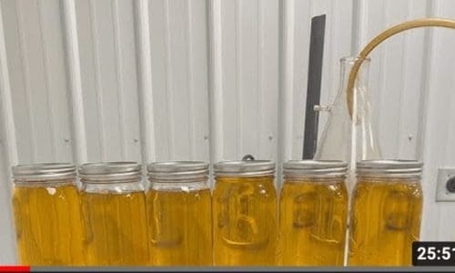 [技术分享] 带大家参观一条汉麻处理线，并且手把手教你将CBD精油提炼出，日产30kg精油