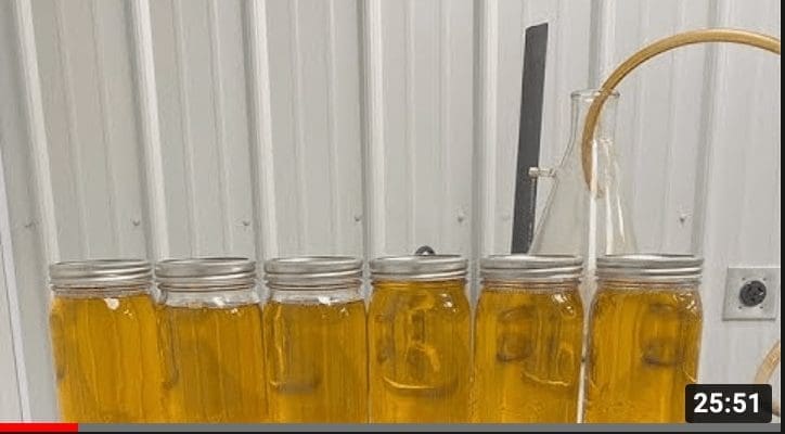 [技术分享] 带大家参观一条汉麻处理线，并且手把手教你将CBD精油提炼出，日产30kg精油