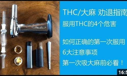 [THC劝退指南] 大麻第一次服用应该注意什么？ | 六大注意事项