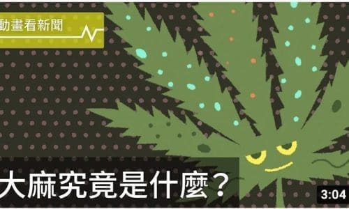 大麻究竟是什麼?