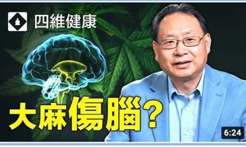 大麻對青少年大腦有什麼影響?楊醫生分析真實案例和大腦圖像。