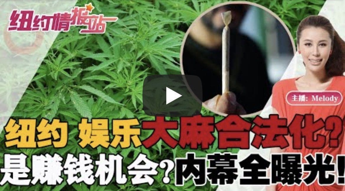纽约娱乐大麻合法？业内人士独家讲述大麻行业年入百万？或血亏离场？《纽约情报站》第61期 2022.04.29