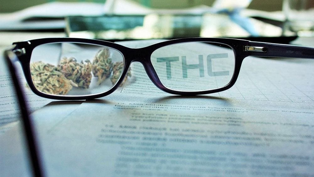 什么是THC？四氢大麻酚的科学指南