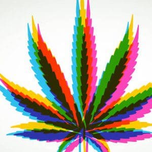 一介草民的头像