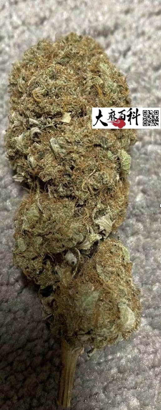 不用养一天树，出根BB直接打花神技再现江湖