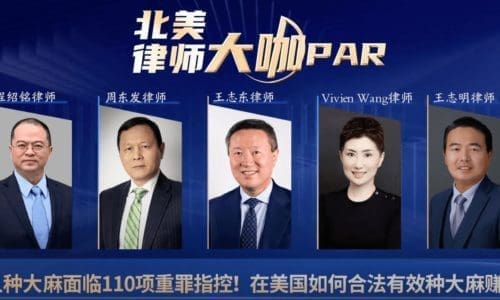 华人律师介绍美国大麻法规《北美律师大咖PAR》